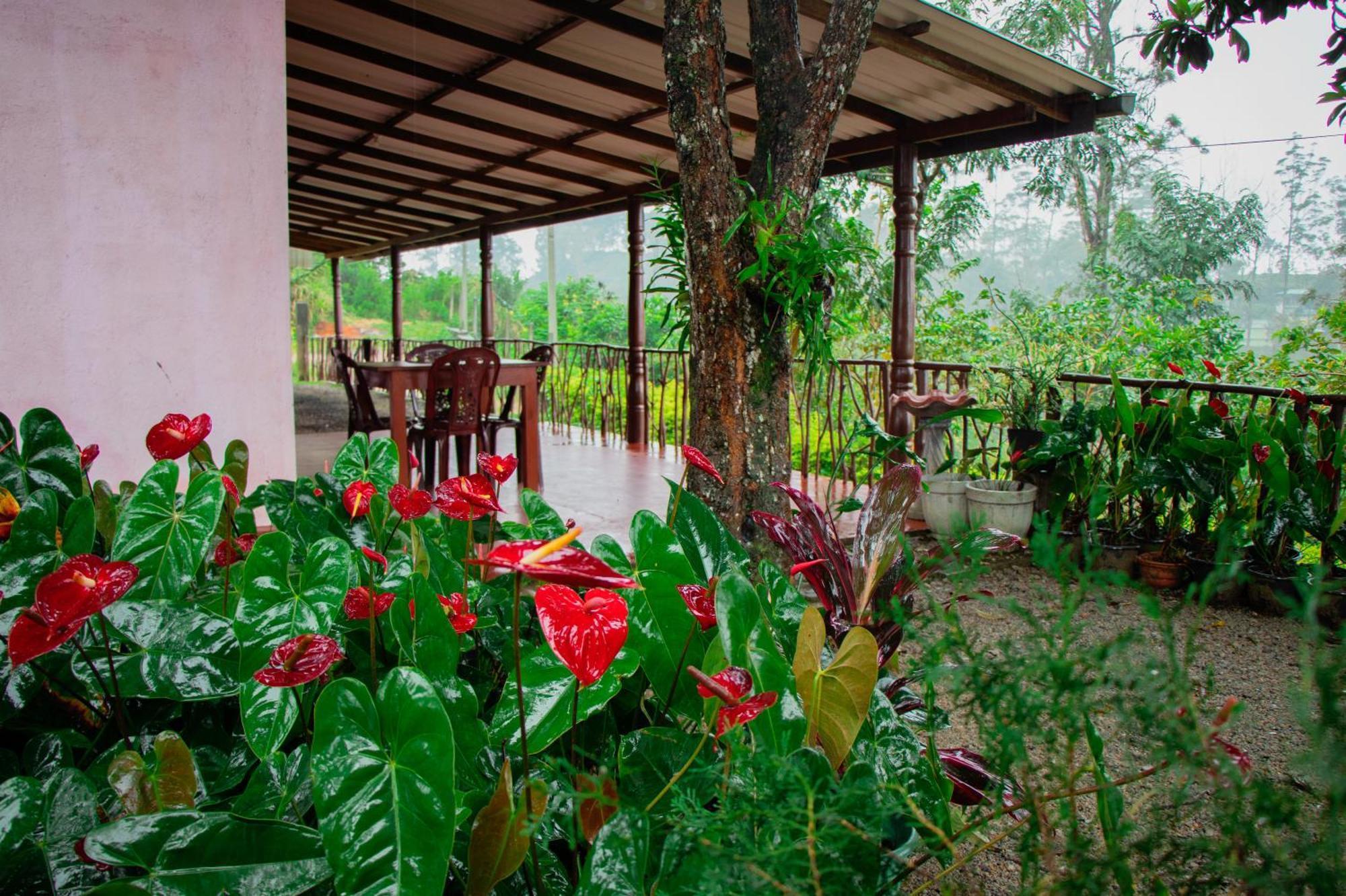 Nine Arch Homestay Ella Exterior photo